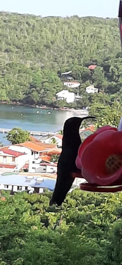 Appartement Colibri , Les Anses D 'Arlet Kültér fotó